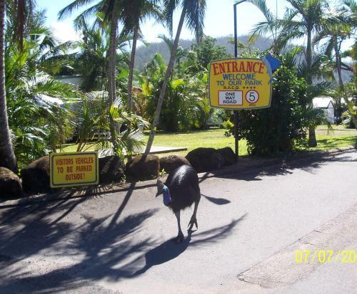 Flying Fish Point Tourist Park
