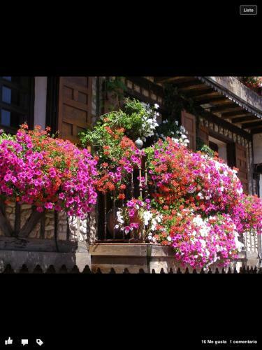 Casa Del Tablao