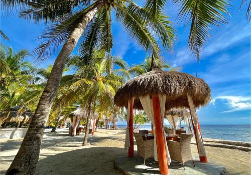 Hotel Coco Grove Beach Resort, Siquijor Island