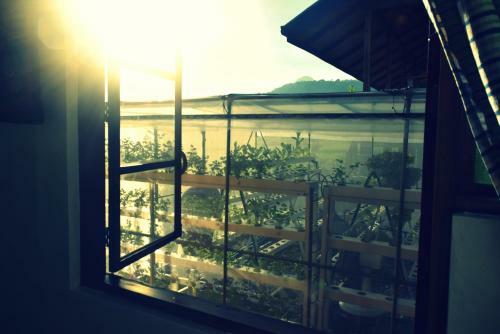 Guerrera Rice Paddy Villas