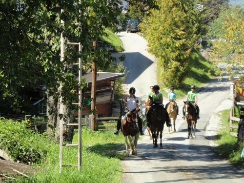 Alpen Apartments Embach
