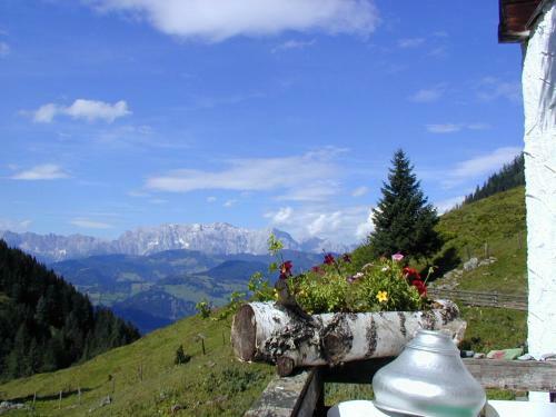 Alpen Apartments Embach