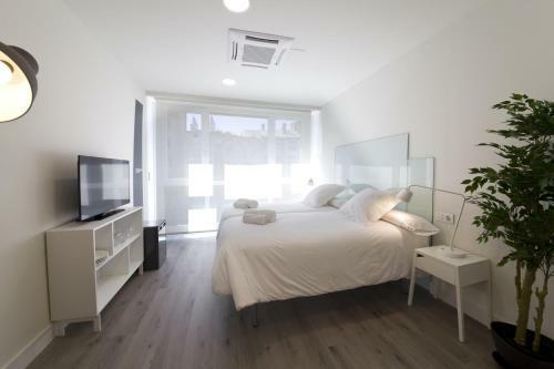 Hostal Pensi�n T5 Donostia Suites