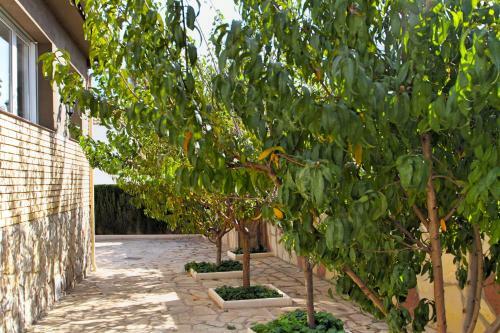 Pino Alto Villas Flandes