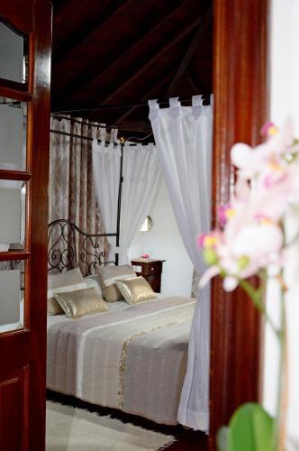 Apartamento Drago De San Antonio