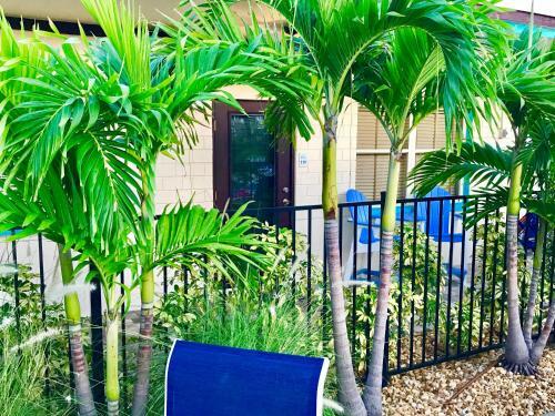 Hotel Island Cay At Clearwater Beach