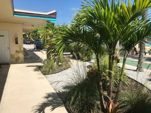 Hotel Island Cay At Clearwater Beach