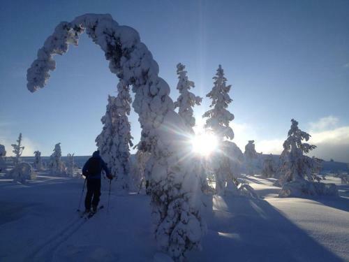 Lodge 67�n Lapland