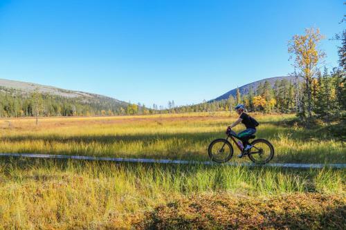 Lodge 67�n Lapland