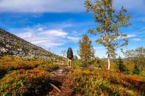 Lodge 67�n Lapland
