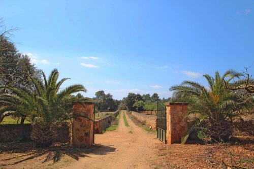 Villa Son Vedo