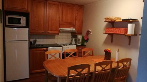 Levin Alppi 3 A 1 Apartment