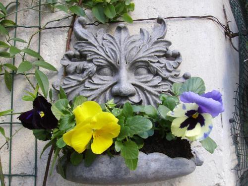 Bed & Breakfast Antica Villa La Viola