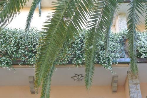 Hotel Mignon Forte Dei Marmi