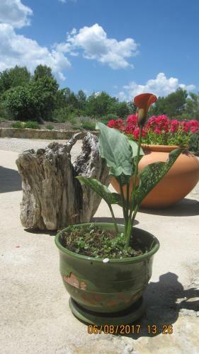Bed & Breakfast Les Hauts Des Materonnes
