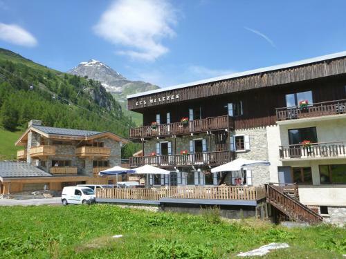 Chalet Hotel Les Melezes