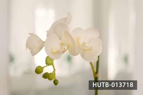 Apartamento Blanco Vinyet