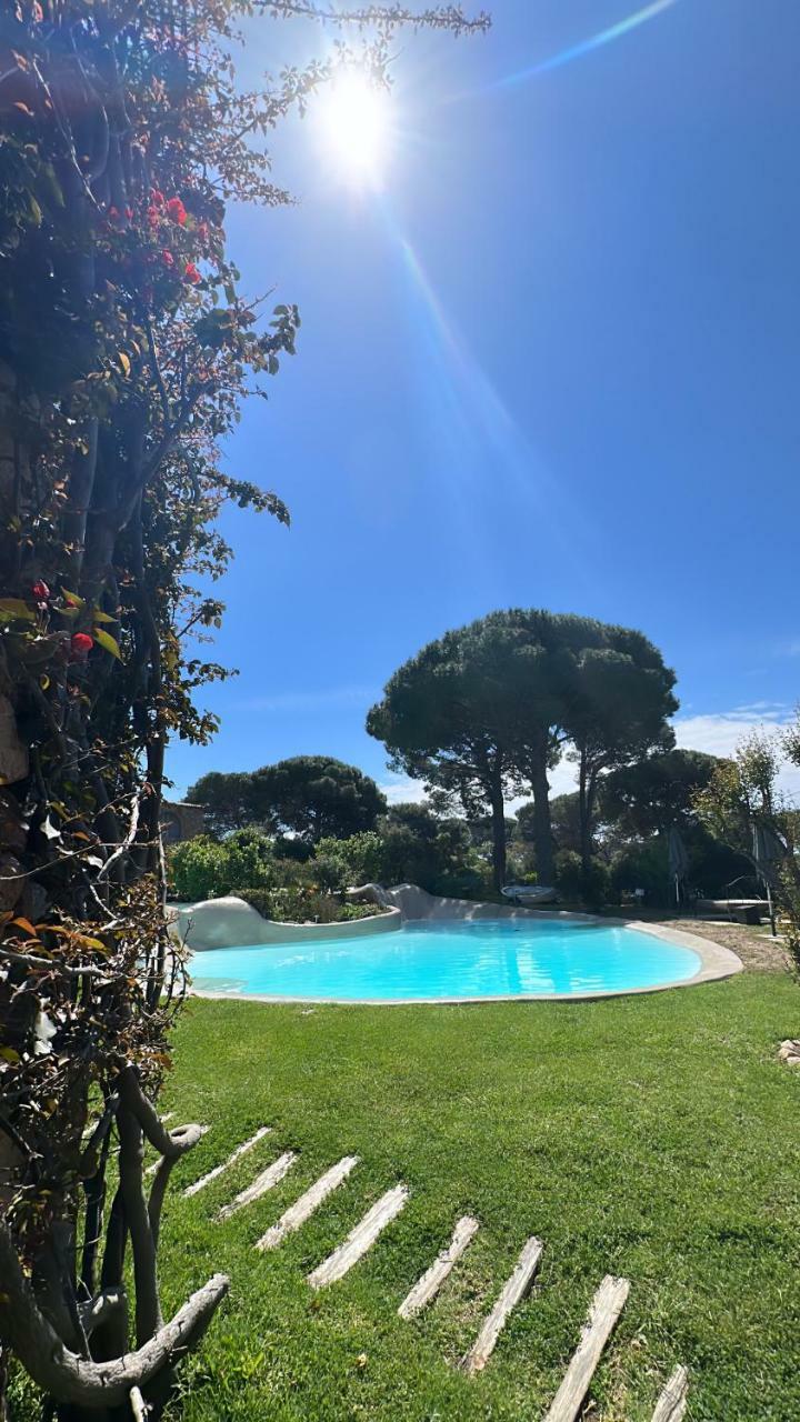 Hotel H�tel Ambassador Palombaggia