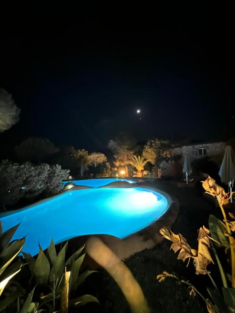 Hotel H�tel Ambassador Palombaggia