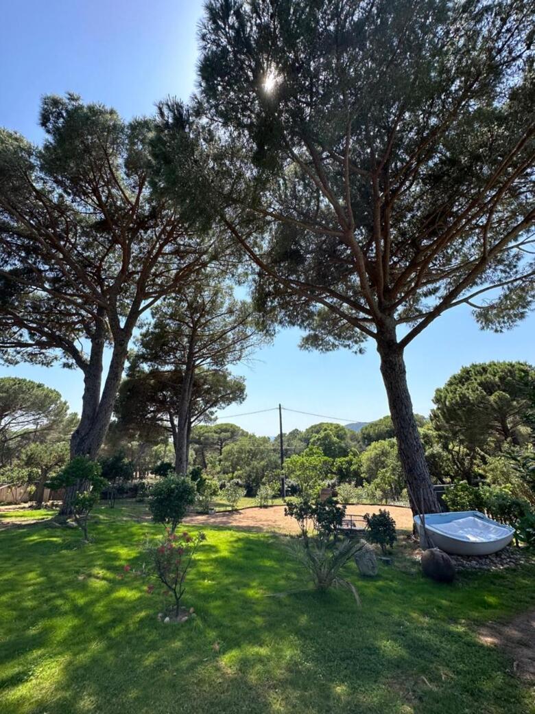 Hotel H�tel Ambassador Palombaggia