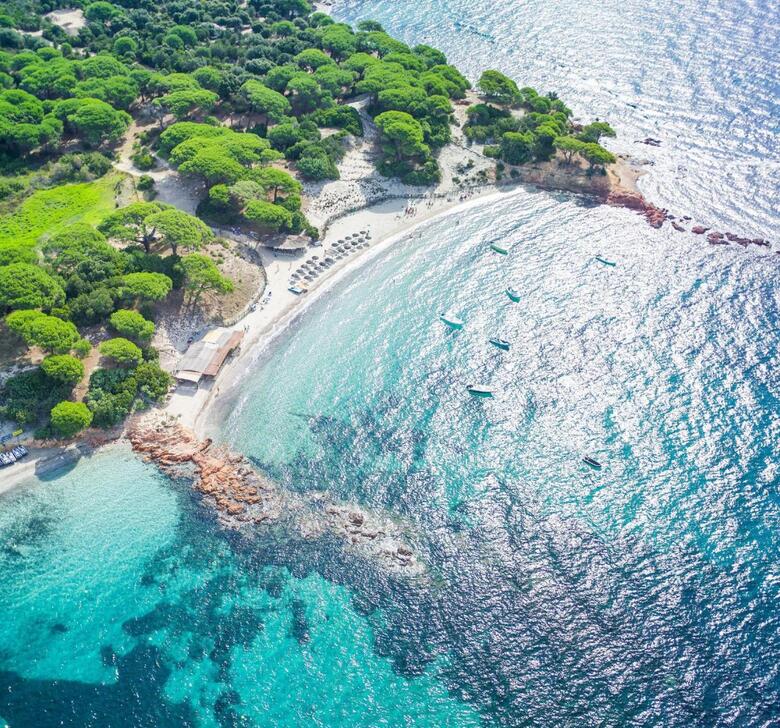 Hotel H�tel Ambassador Palombaggia