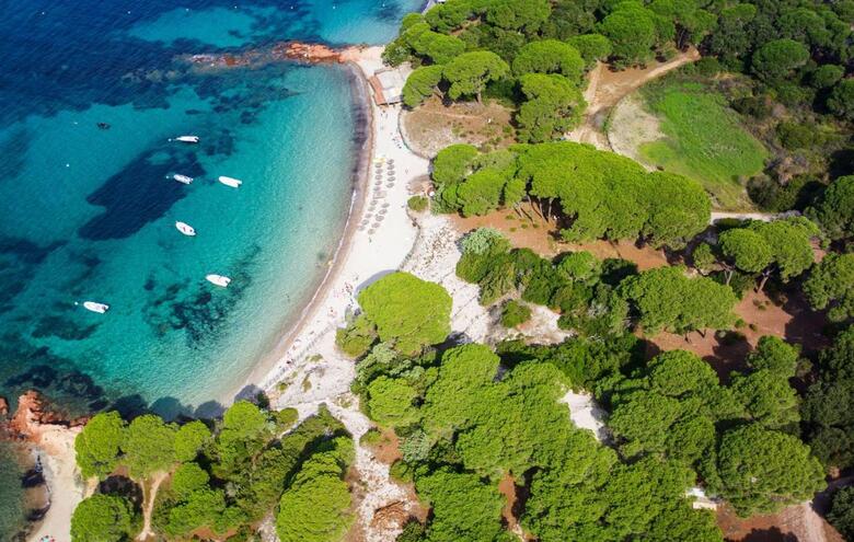 Hotel H�tel Ambassador Palombaggia