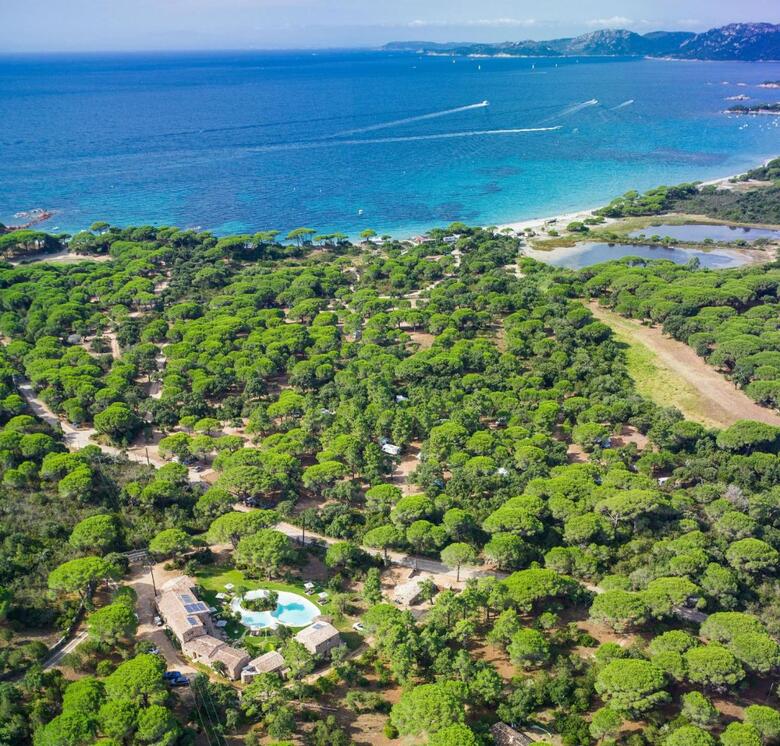 Hotel H�tel Ambassador Palombaggia