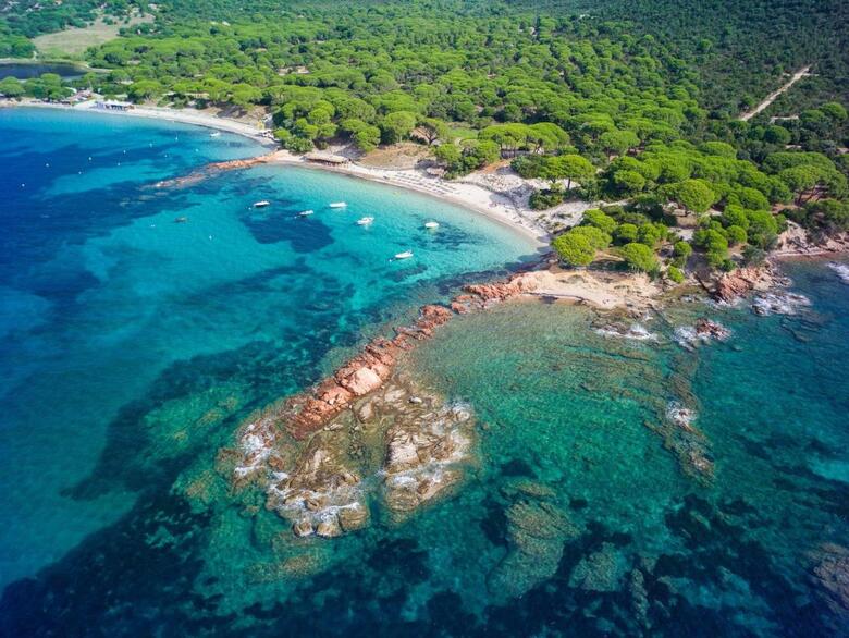 Hotel H�tel Ambassador Palombaggia