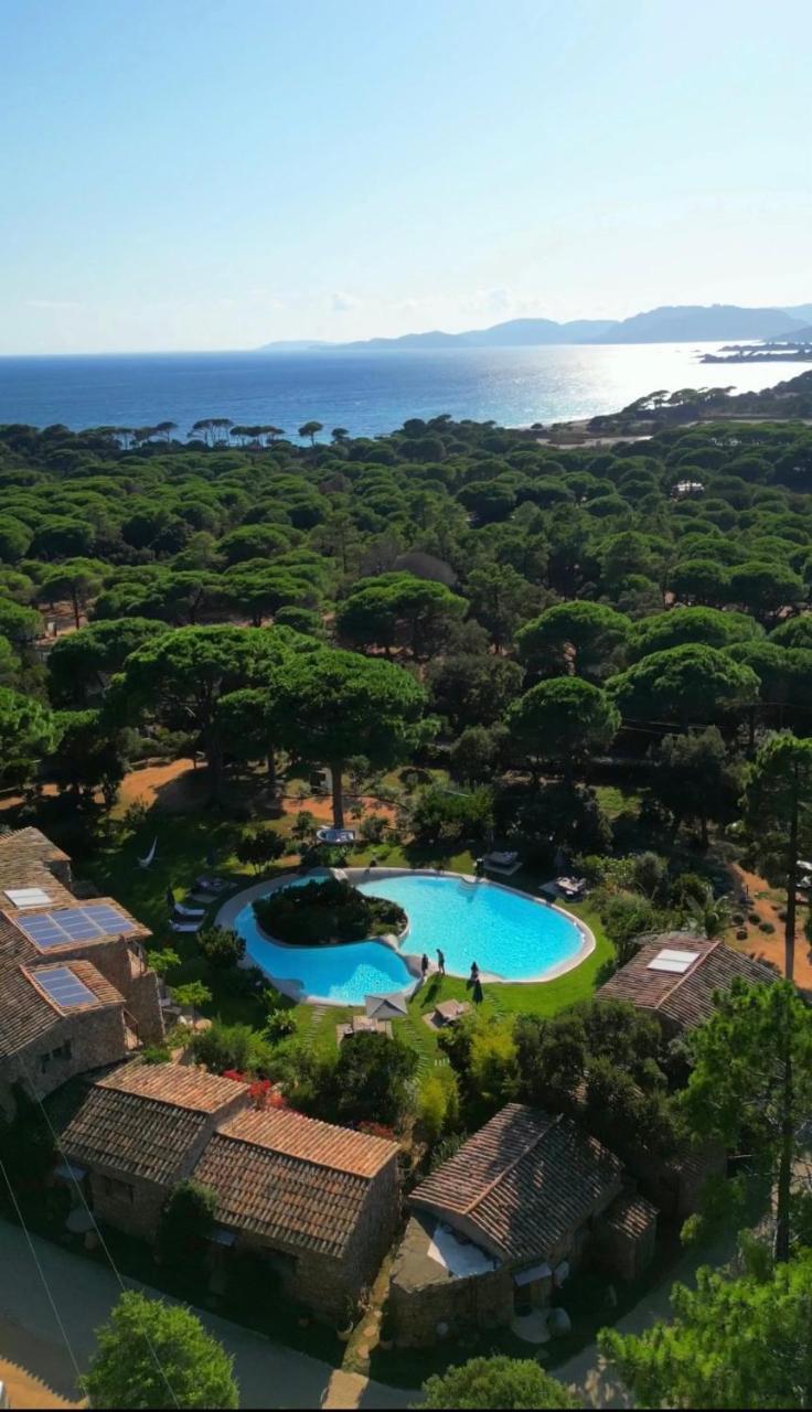 Hotel H�tel Ambassador Palombaggia