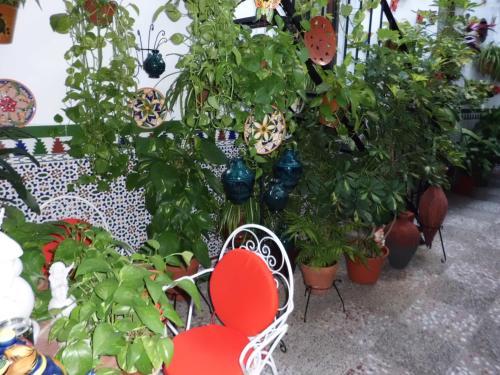 Hostal Pensi�n Agustina