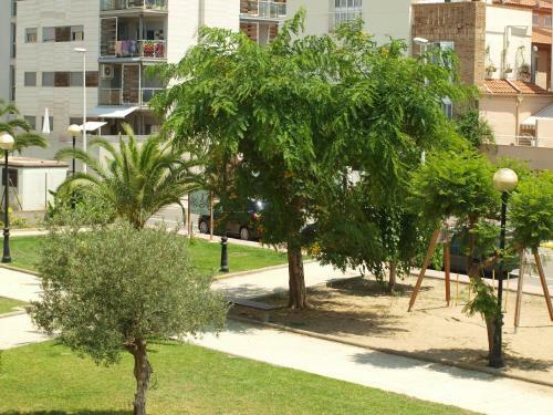Apartamentos Satse Monc�far