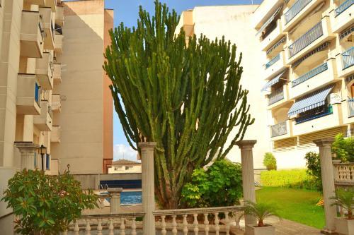 Apartamentos Ordre De Malta