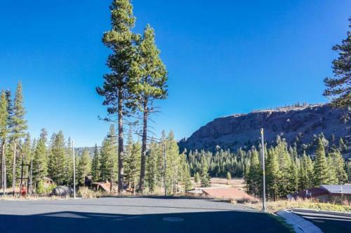 Caples View