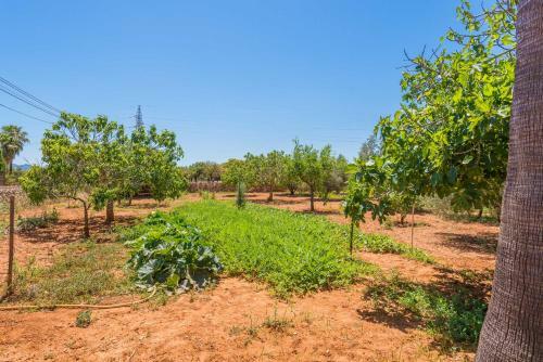 Villa Eulalia