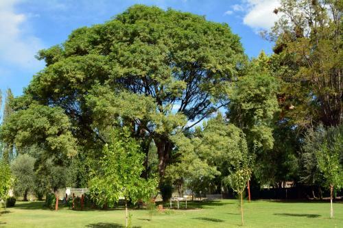 Apartamento Ayres De Cuyo