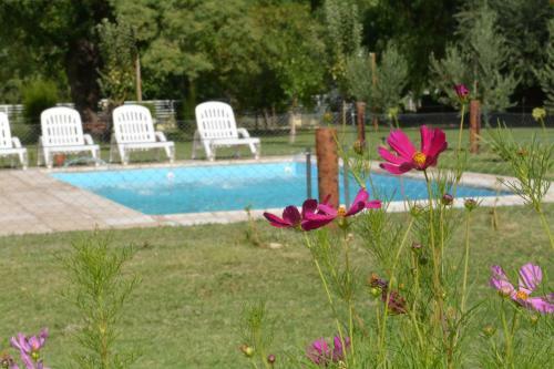 Apartamento Ayres De Cuyo