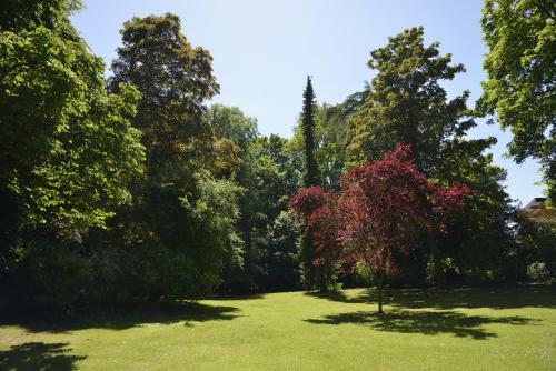 Bed & Breakfast Le Ch�teau D'hermonville