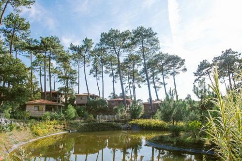 Village Natur�o