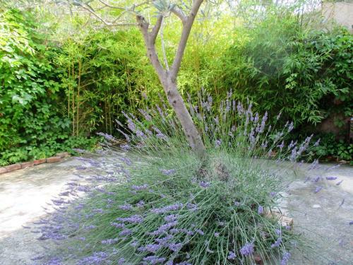 Bed & Breakfast Le Mas Du Fort