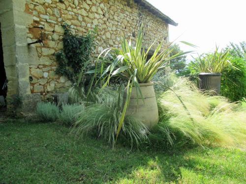 Bed & Breakfast Le Mas Du Fort