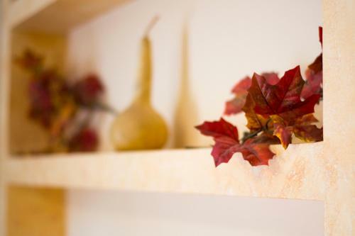 Bed & Breakfast Notti E Dintorni