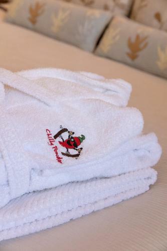 Hotel H�tel Et Chalet Au Coin Du Feu Chilly Powder