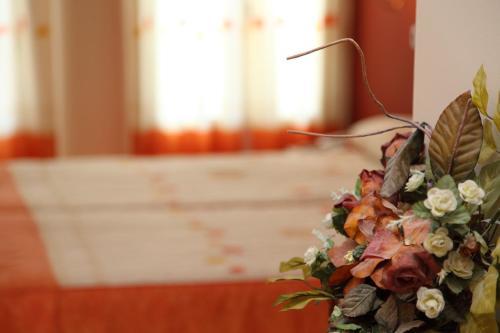 Hotel Ciudad Pozo Alc�n