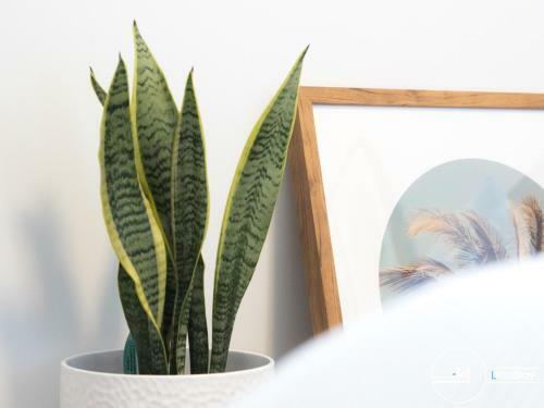 Apartamentos Littlestay Collection - Stk (st Kilda)
