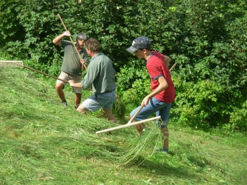 Agroturismo Wandlehenhof