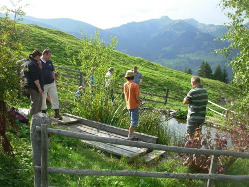 Agroturismo Wandlehenhof