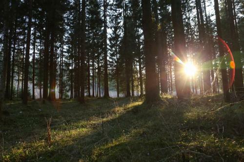 Dobringers Chalet-dorf War�s