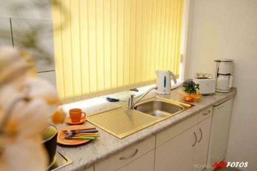 Apartment Dresden Neustadt