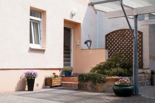 Apartment Dresden Neustadt