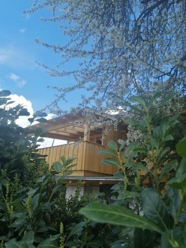 Apartamento Appartement Seppi